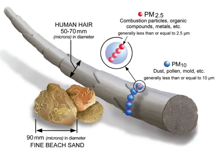 Illustration demonstrating the size of air particulates being smaller than diameter of human hair or grains of sand.